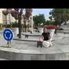 judithnemeth6 - @judithnemeth6 - TikTok
