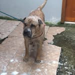 Nery Judith Garcia Marin - @neryjudithgarcia - Instagram
