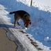 Judith Neubert - Facebook