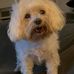 Judith Newberry - Facebook