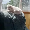 judithnowak1 - @judithnowak1 - TikTok