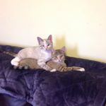 Judith Ogle - @ogle8083 - Instagram