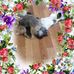 Judith Ogle - Facebook