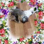 Judith Ogle - @judithogle70 - Instagram