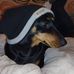 Judith Ogle - Facebook