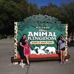 judith oliveras - @juditholiveras72 - Instagram