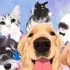 addysonzaidrc65 - @judith_honey - TikTok