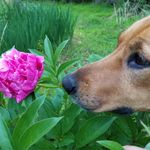Judith Ostrowski - @snorks6of6 - Instagram