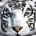Judith Palermo - @judith.palermo.77 - Instagram