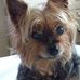 Judith P Pappas - Facebook