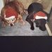 Judith Peckham - Facebook