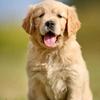 judithpeckham833 - @judithpeckham833 - TikTok