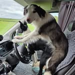 Judith Peers - @judithpeers - Instagram