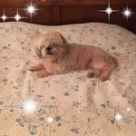 Judith Pendleton - @pendletonjudith - Instagram