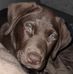 Judith Penny - Facebook