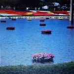 Judith Pfeifer - @pfeifer7716 - Instagram