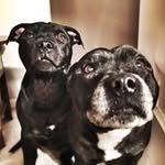 Judith Phillips - @judithphillips6658 - Instagram