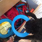 Judith Christie - @indigopigeon - Instagram