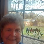 Judith Mcginis-Pitman - @pitmanjudith1 - Instagram