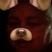 Judith Pitman - Facebook
