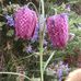Judith Place - Facebook