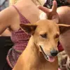 judith.psoy - @judith.psoy - TikTok
