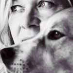 Judith Postema - @judithpostema - Instagram