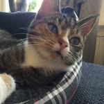 Judith Postma - @postmajudith - Instagram