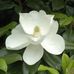 Judith Powers - Facebook