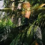 Judith Pressler - @judith.pressler - Instagram
