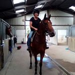 Judith Prior - @judith.prior.39 - Instagram
