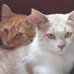 Vane Ssa - @judithvanessapriori - Instagram