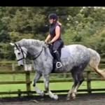Judith Pugh - @judes1insta - Instagram