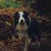 Judith Pullen - Facebook