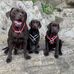 Judith Pullen - Facebook