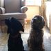 Judith Rafferty - Facebook