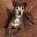 Judith Rakestraw - Facebook
