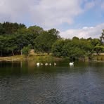 Judith Ratcliffe - Facebook