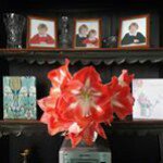 Judith Ratcliffe - @judithratcliffe - Instagram