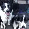 Judith Reece - @judith.reece - TikTok