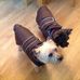 Judith Rees - Facebook