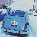 Judith Reiter - @jreiter67 - Instagram