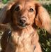 Judith Reiter - Facebook