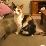 Judith Roach - @judymr48 - Instagram