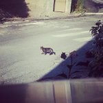 Judith Rohr - @nexantali - Instagram