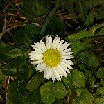 judith_rohrberg - @judith_rohrberg - Instagram