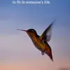 Judithrun - @judithrun - TikTok