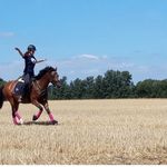 Judith. Rustemeier - @judith.rustemeier - Instagram