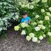 Judith Saavedra - Facebook