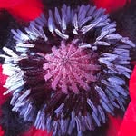 Judith Salisbury - @salisbury1954 - Instagram